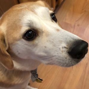 Meet your Posher, Rhonda